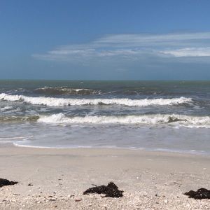 Meet your Posher, Ava